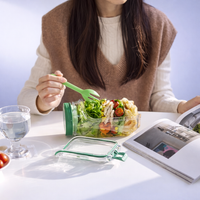 SnapFresh™ Salad Jar
