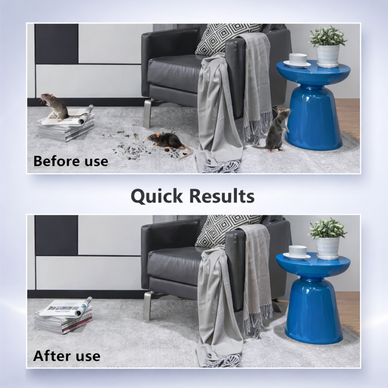 Keep Your Home Pest-Free with Natural Oils